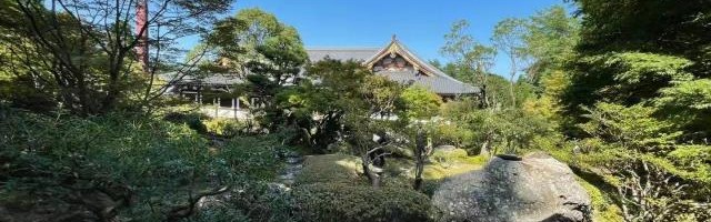 日本阿含･桐山杯许家元首度加冕，井山事不过“五”